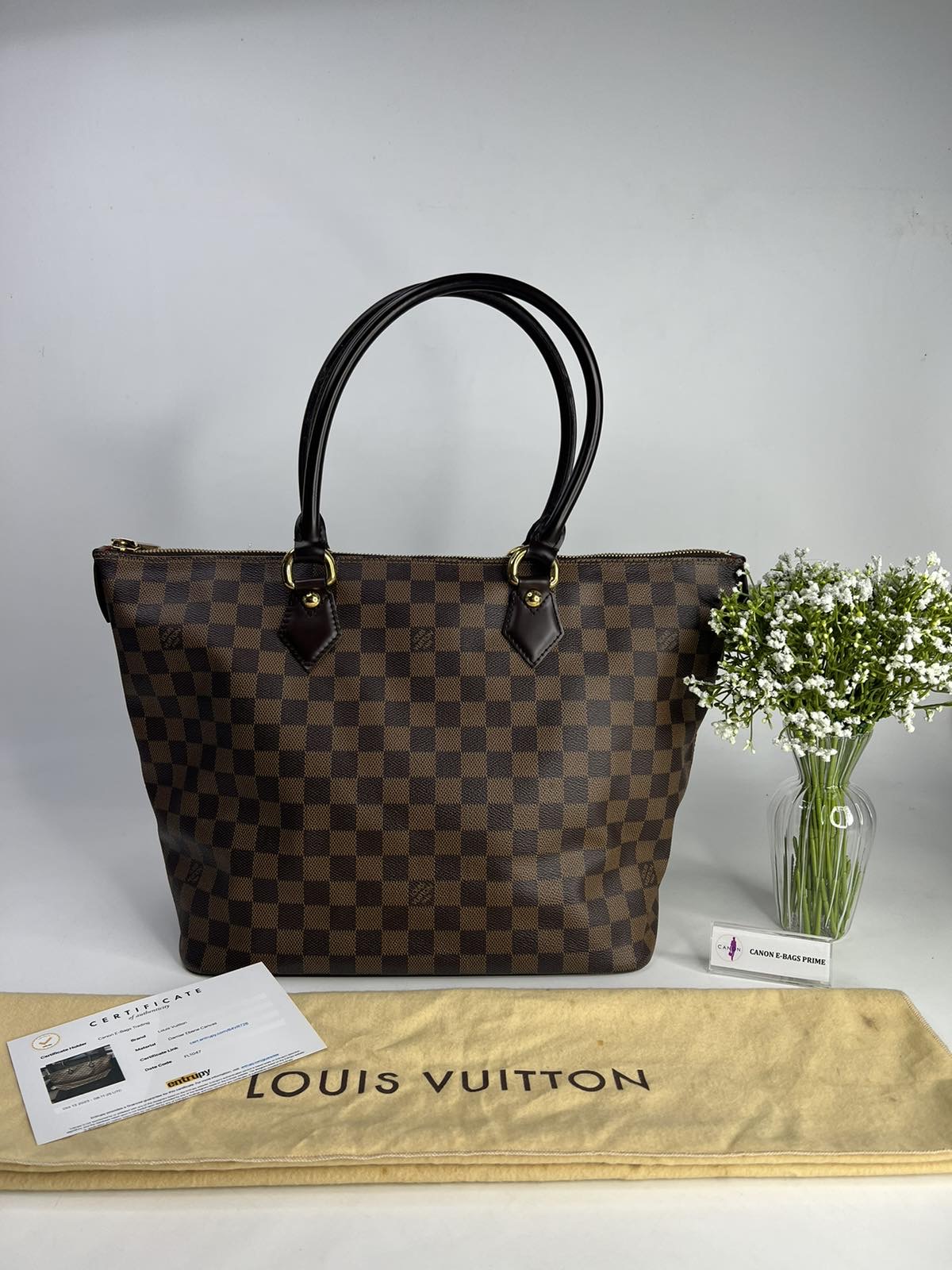 Louis Vuitton Saleya PM Review 