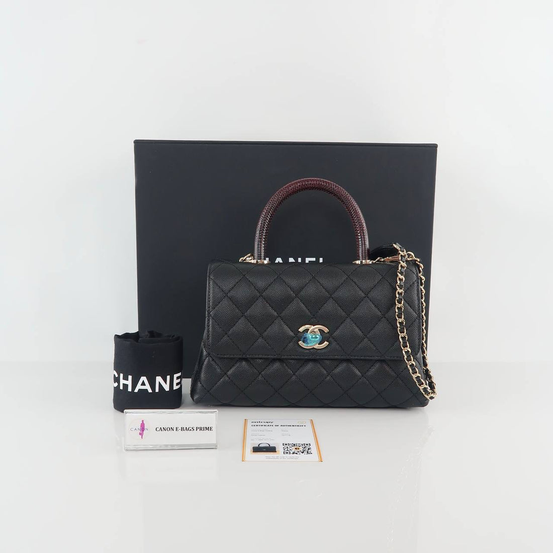 Coco Handle Lizard Handle