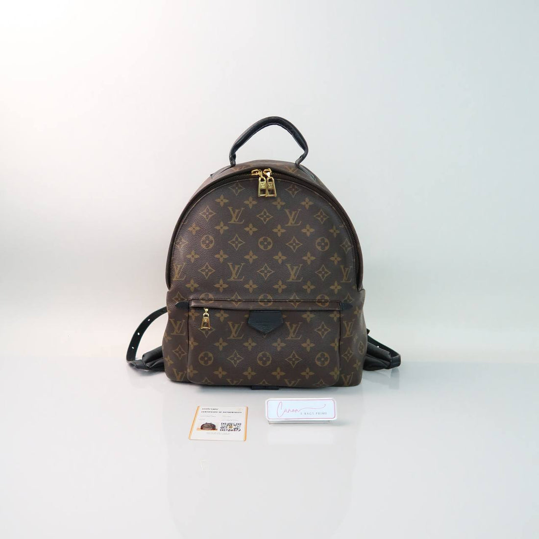 Palm Springs Backpack