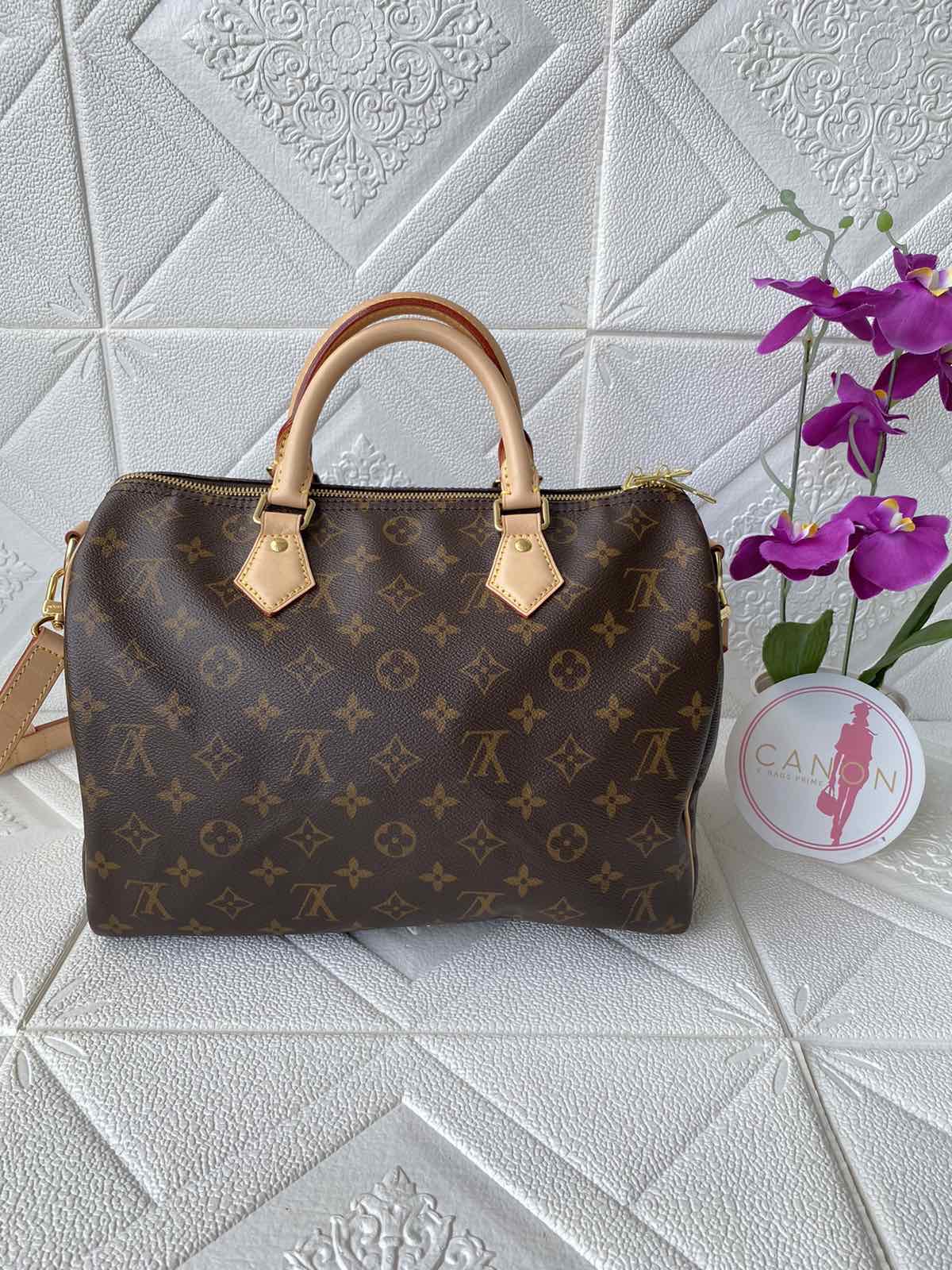 From Louis Vuitton Speedy 30 To LV Artsy Mm, And House Chores