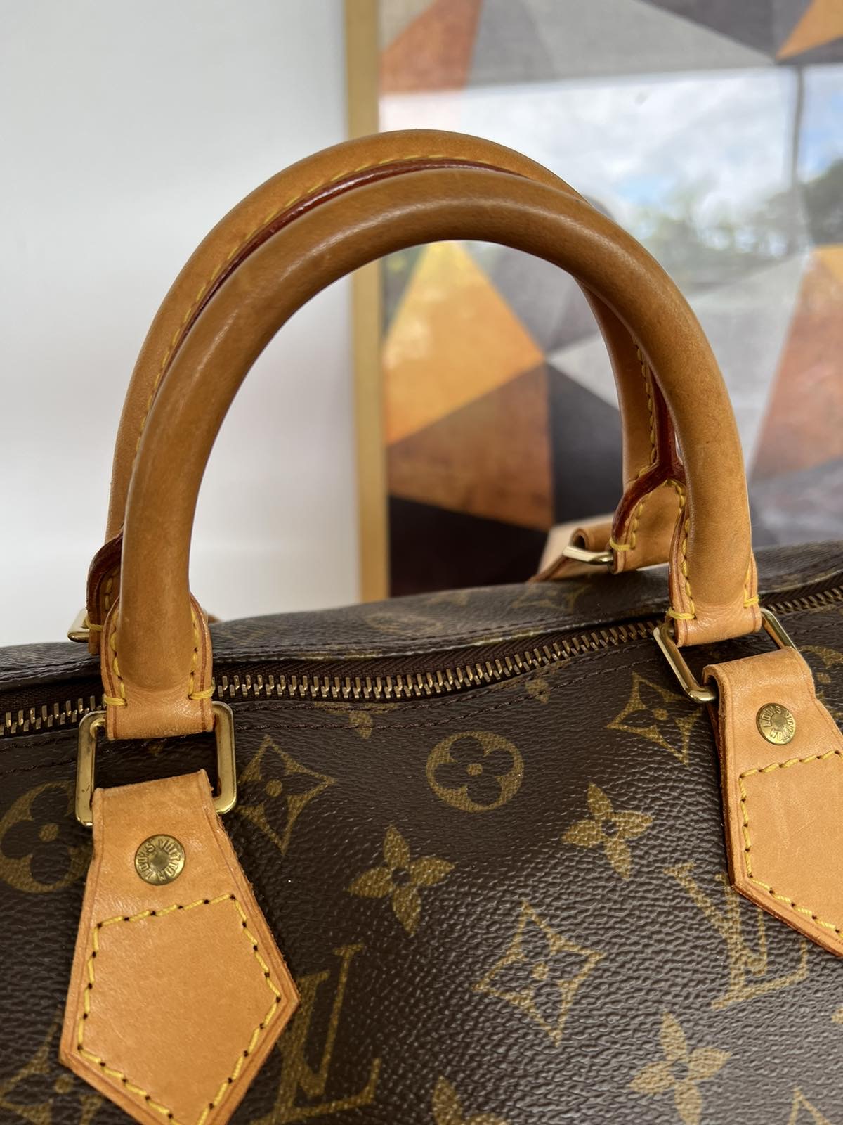 Louis Vuitton Speedy Handbag 357658