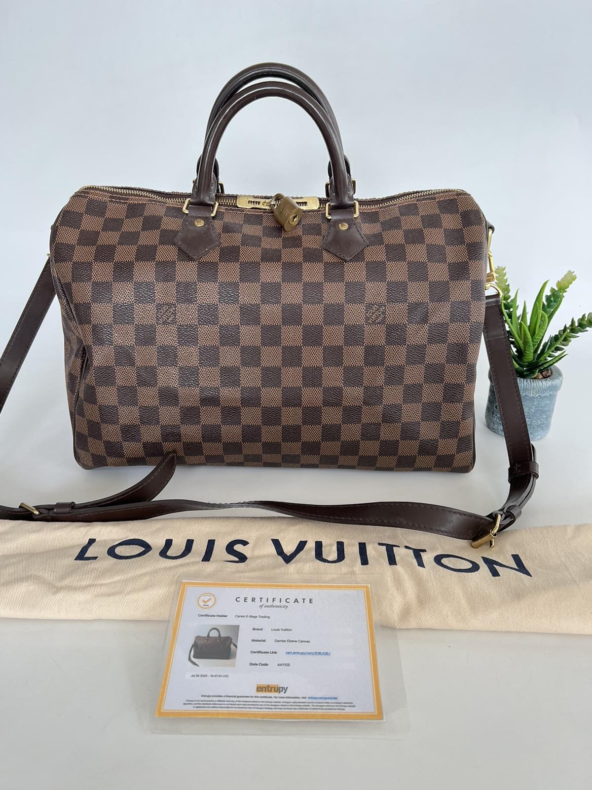 Louis Vuitton Clapton Backpack Damier Ebene - Hebster Boutique