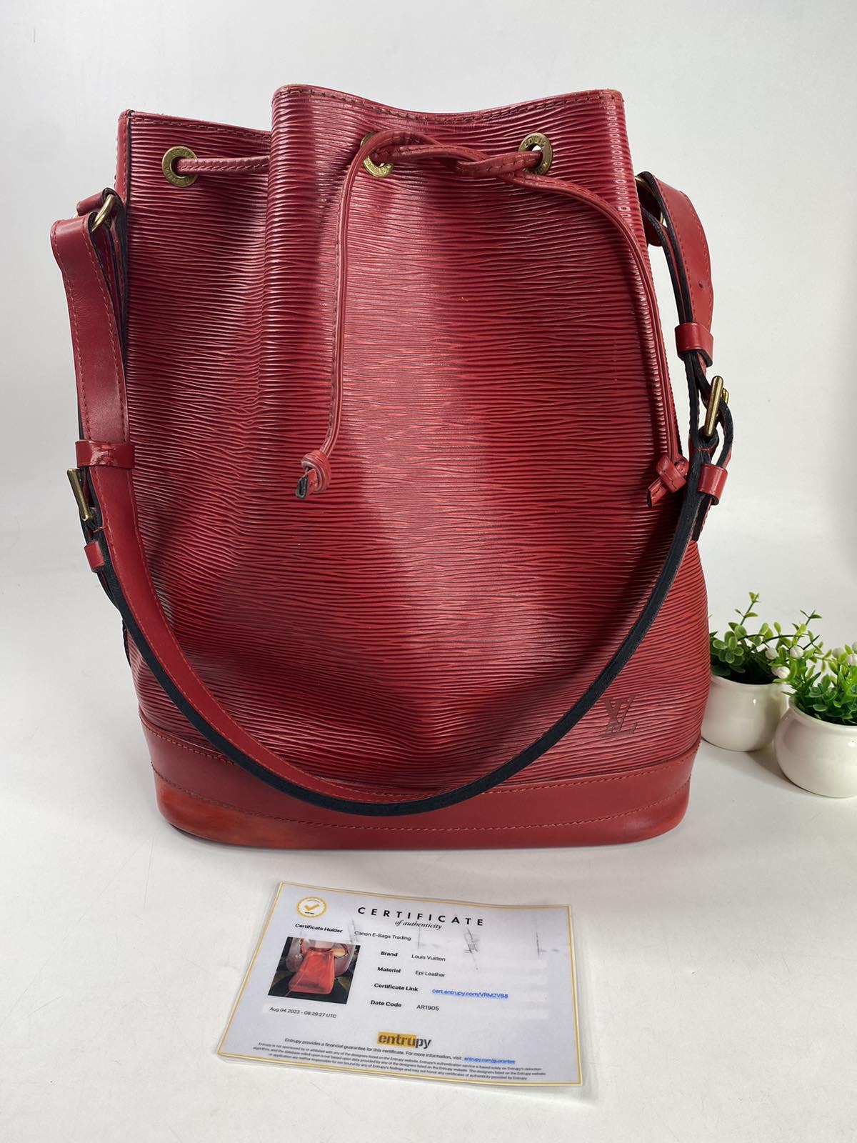 Red Louis Vuitton Epi Tricolor Noe Bucket Bag, RvceShops Revival