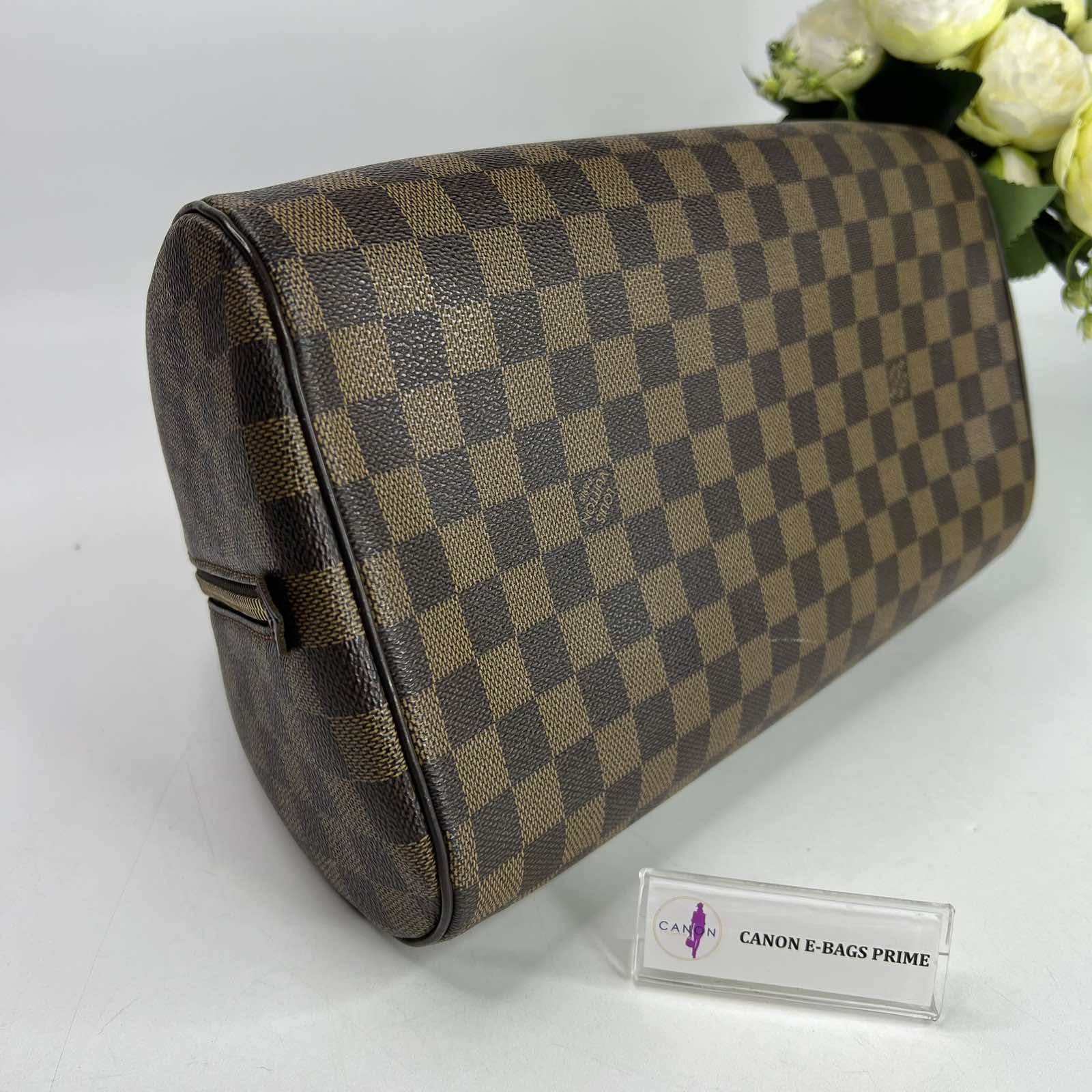 Authentic Louis Vuitton Damier Ebene Ribera MM Prowned DC CA0015