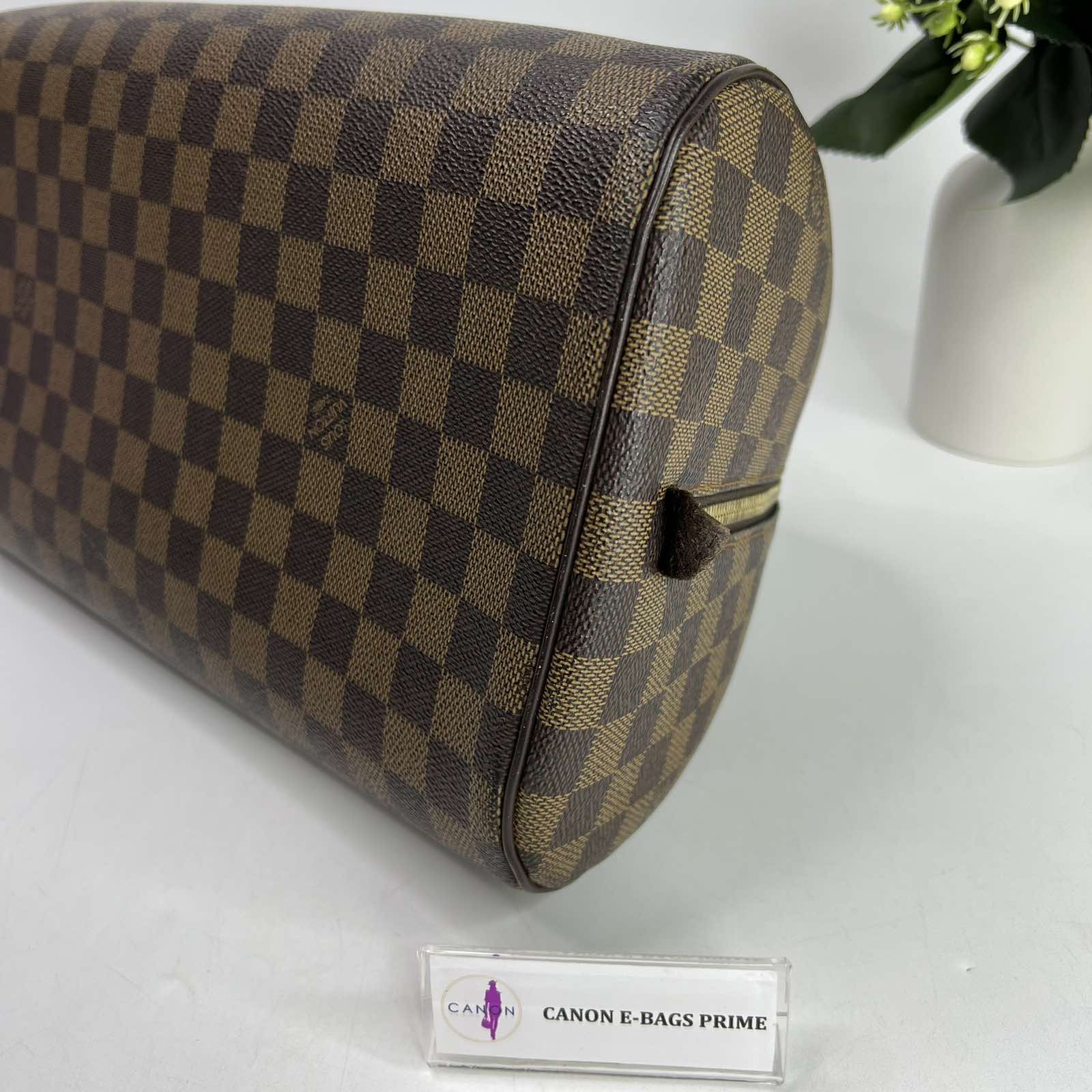 Authentic Louis Vuitton Damier Ebene Ribera MM Prowned DC CA0015